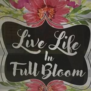 Meet your Posher, Melinda